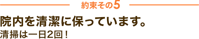 約束その5　院内を清潔に保っています。 清掃は一日2回！