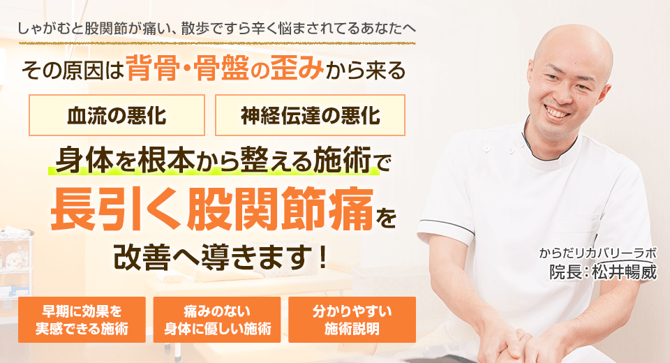 しゃがむと股関節が痛い、散歩ですら辛く悩まされてるあなたへ　背骨・骨盤の歪みからくる血流の悪化・神経伝達の悪化　身体を根本から整える施術で長引く股関節痛を改善へ導きます。